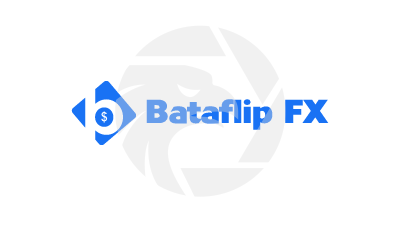 Bataflip FX 