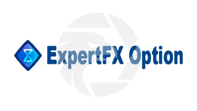 Expert FX Option