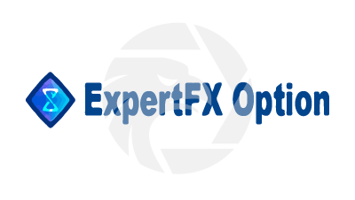 Expert FX Option