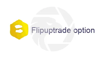 Flipup Trade Option