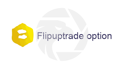 Flipup Trade Option