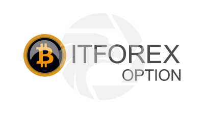 bitforexoption