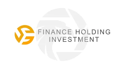 Finance Holding Investment