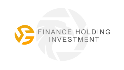 Finance Holding Investment
