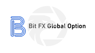 Bit FX Global Option Trade