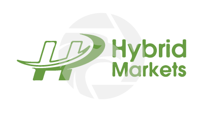 Hybrid Markets