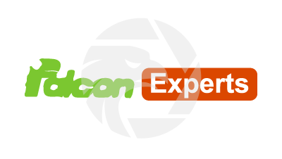 Falcon Experts
