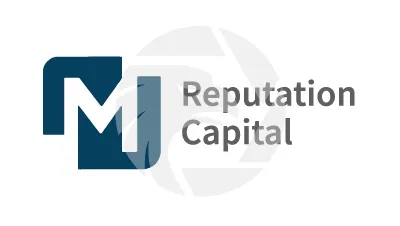 Reputation Capital