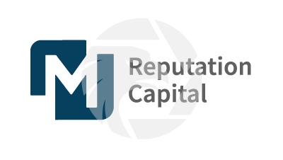 Reputation Capital