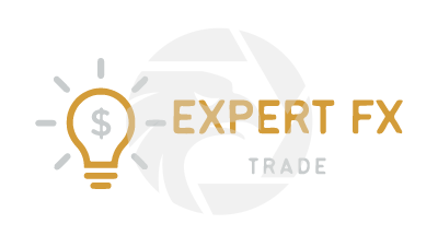 Expert FX trade