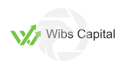  WIBS CAPITAL