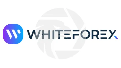White Forex