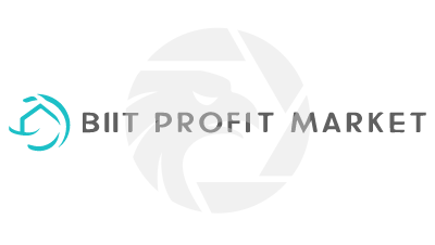 Bit Profit Markets
