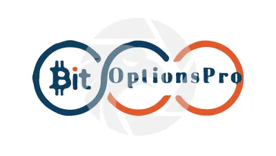 Bit Option Pro