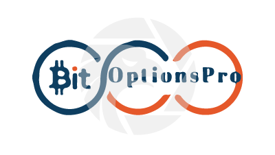Bit Option Pro