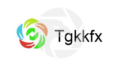 Fake Tgkkfx