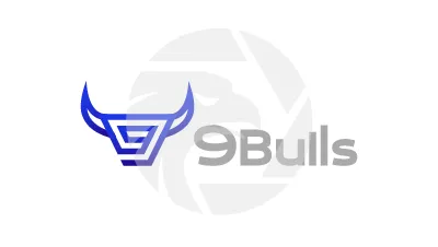 9Bulls