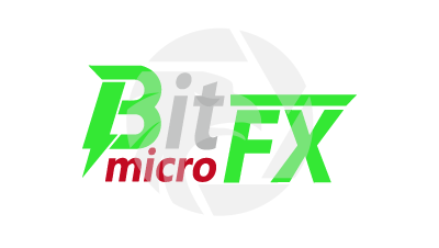 BitmicroFX