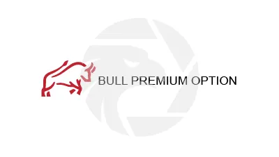 Bull Premium Options