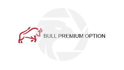 Bull Premium Options