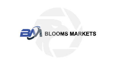 BLOOMS MARKETS LIMITED