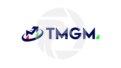 Fake TMGM