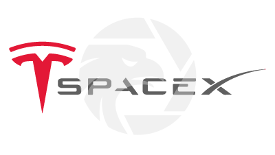 SpaceXTesla Investment