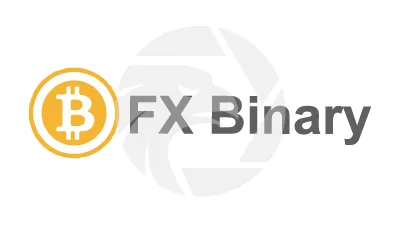 	 FX Binary