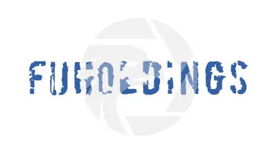 Financial universal holdings