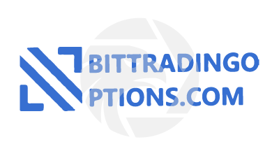 bittradingoptions.com