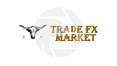 Trust Fx Market