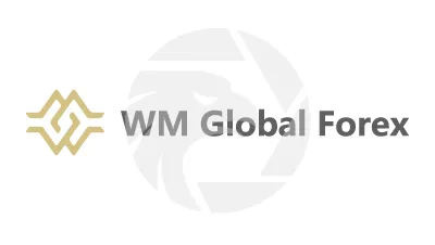WM Global Forex