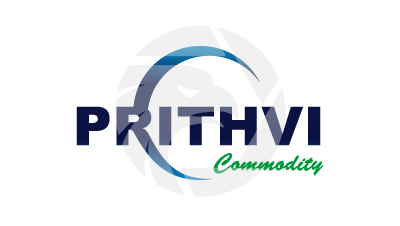  Prithvi Broking