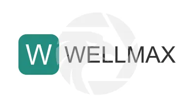 Wellmax Capital