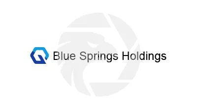 Blue Springs Holdings