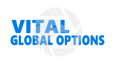 Vital Global Options