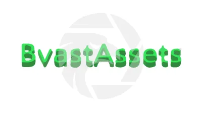  bvastassets