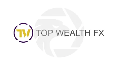 Top Wealth FX