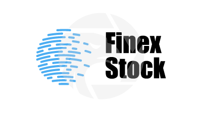 Finex Stock