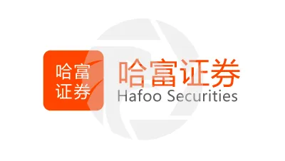 Hafoo Securities