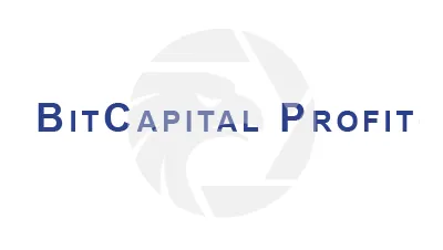 BitCapital Profit