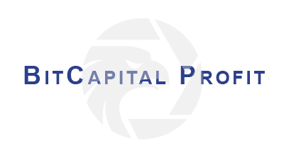 BitCapital Profit