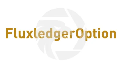 FluxledgerOption