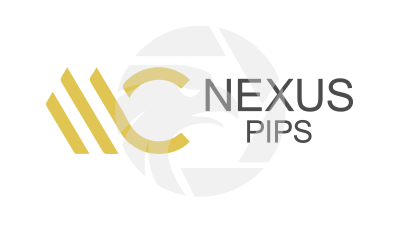 Nexus Pips