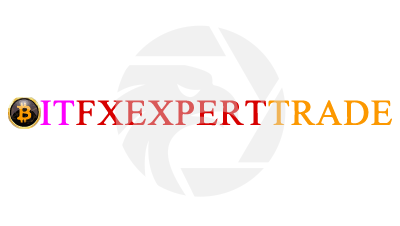 Bitfxexperttrade