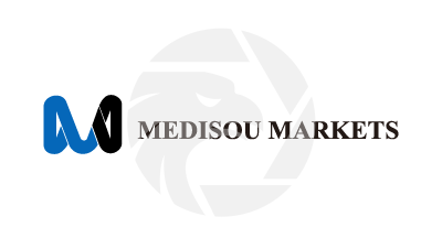 Medisou