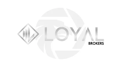 LOYALBROKERS LLC