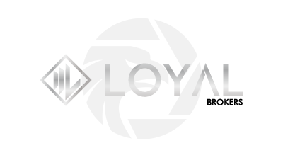 LOYALBROKERS LLC
