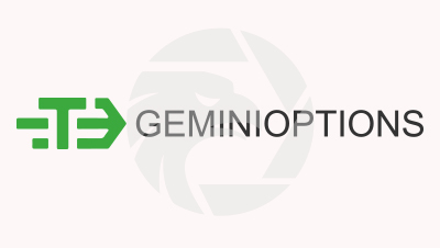 GEMINIOPTIONS
