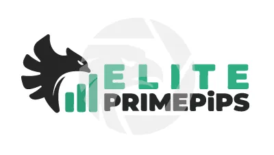 Expert Profit Pro